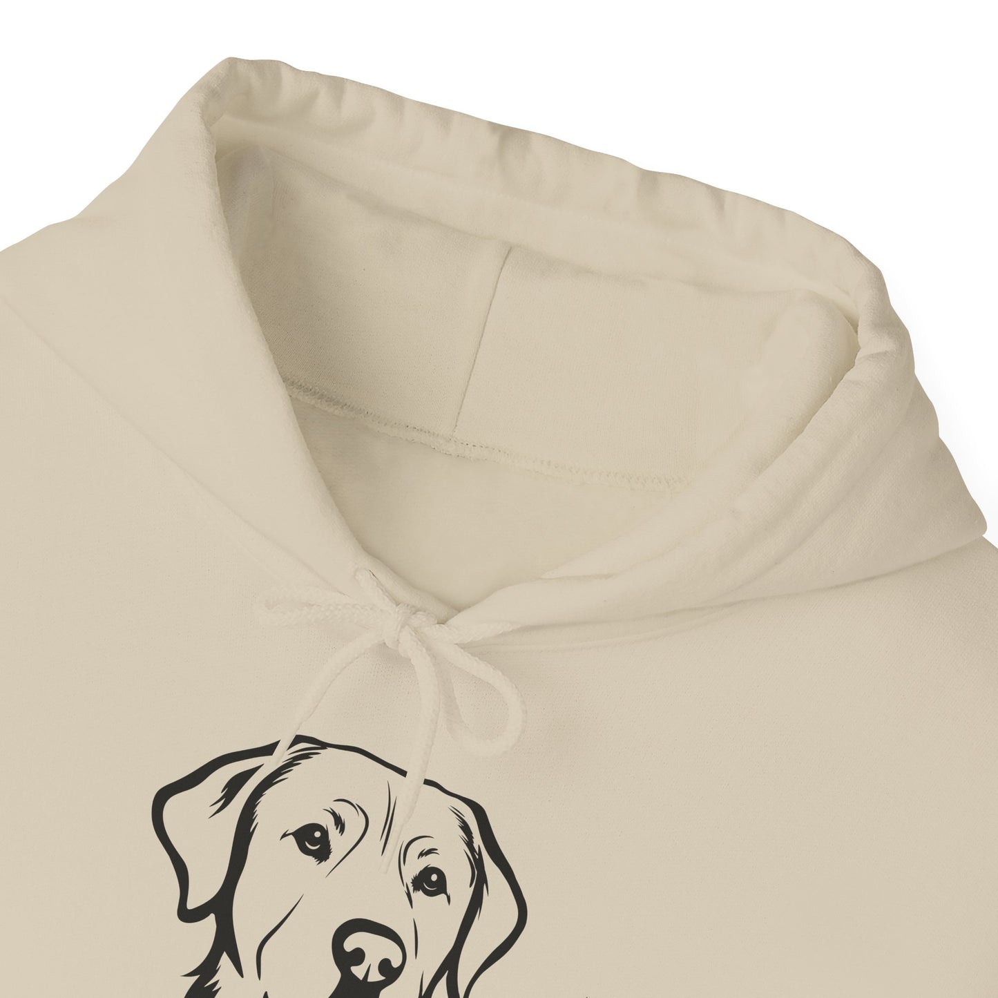 Custom Pet Memory Hoodie | Personalized Pet Portrait