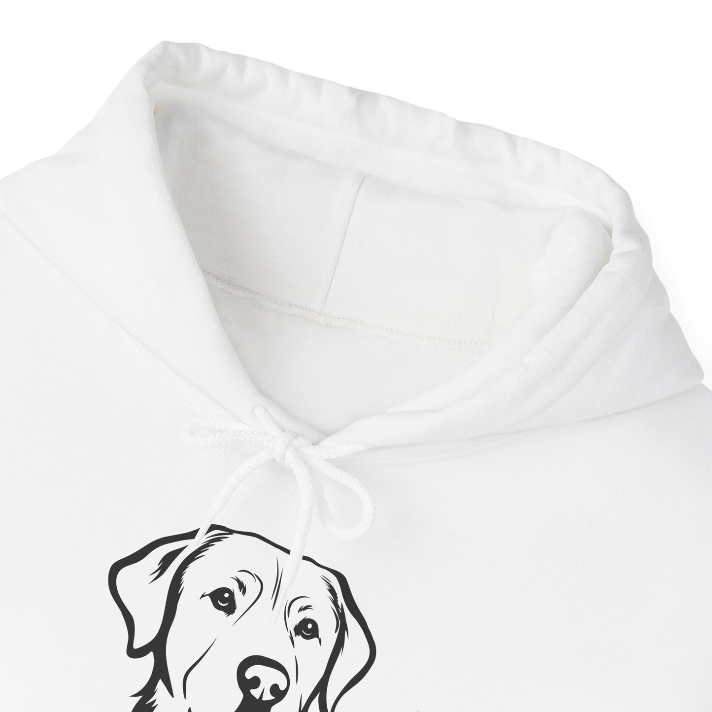 Custom Pet Memory Hoodie | Personalized Pet Portrait