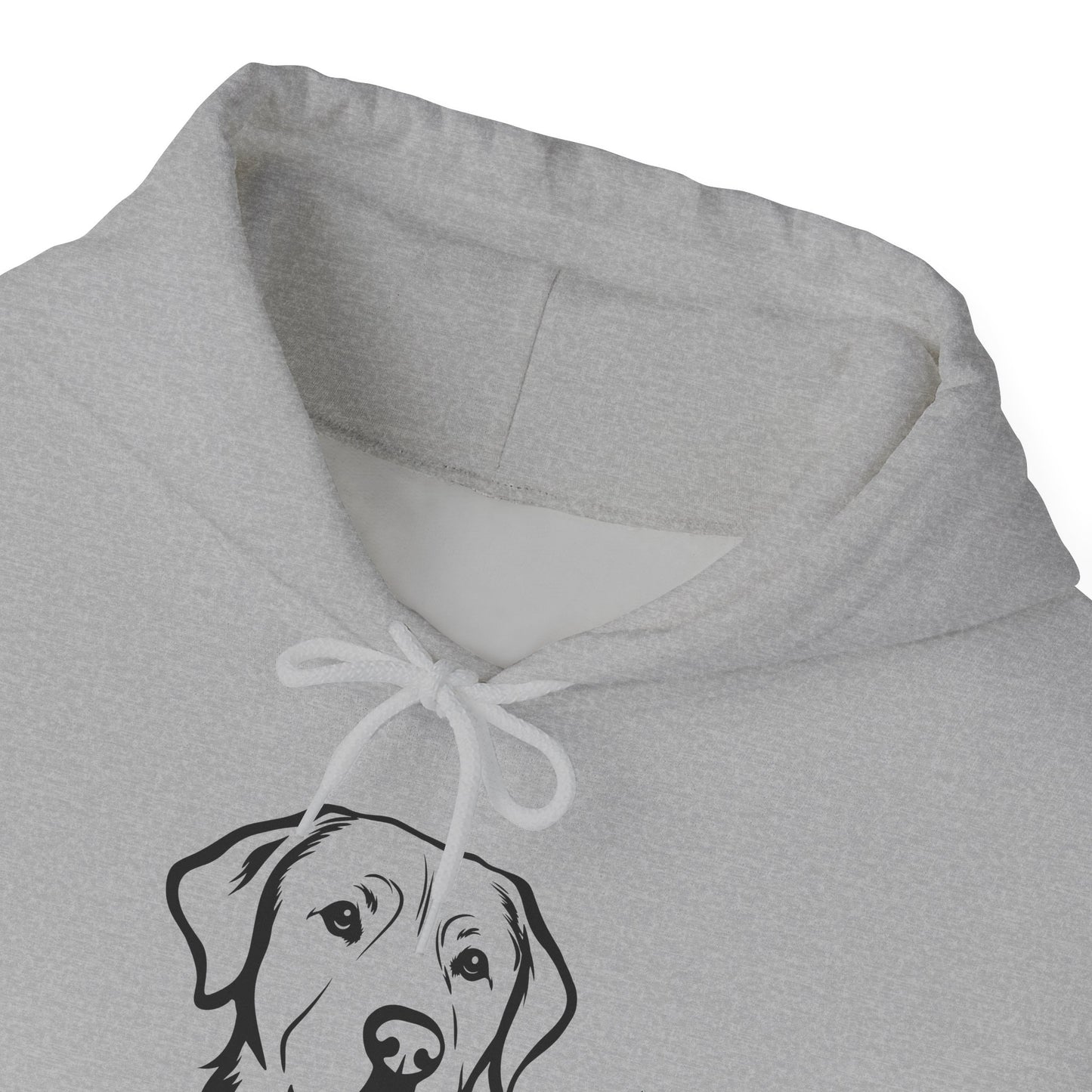 Custom Pet Memory Hoodie | Personalized Pet Portrait